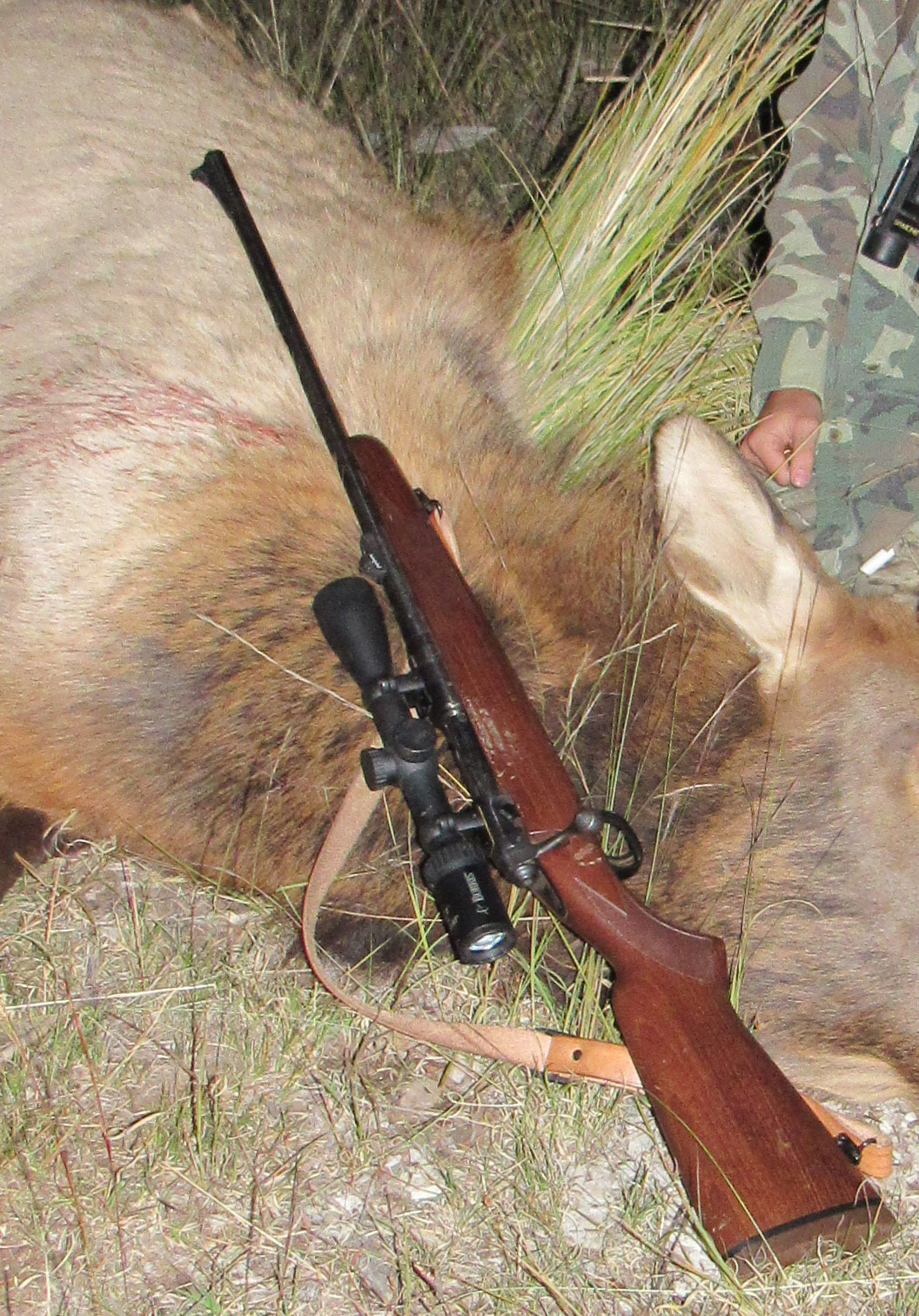 best lever action rifle for hunting elk