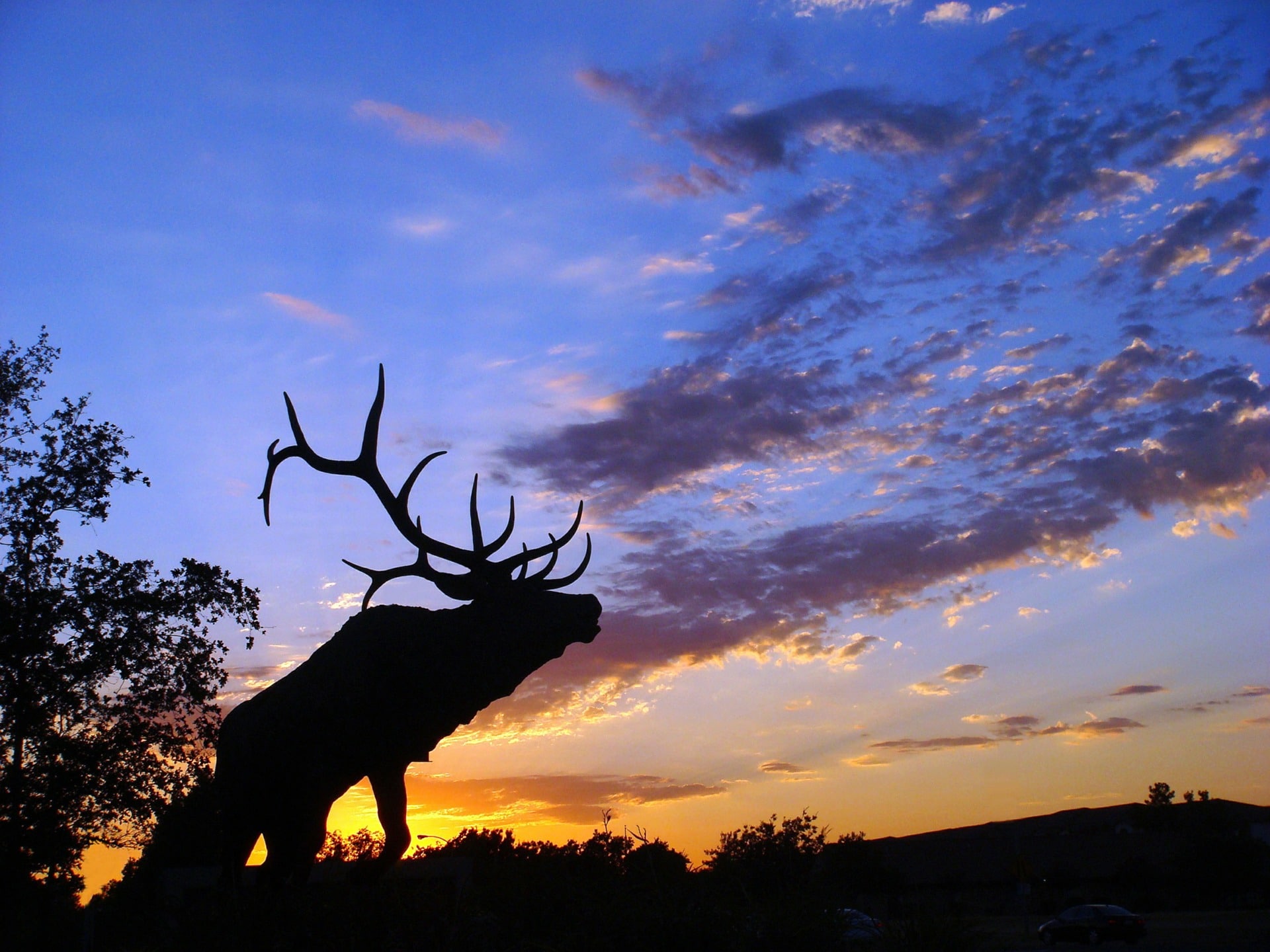 Elk Hunting Success - How do YOU define it? - Elk Hunters Guide