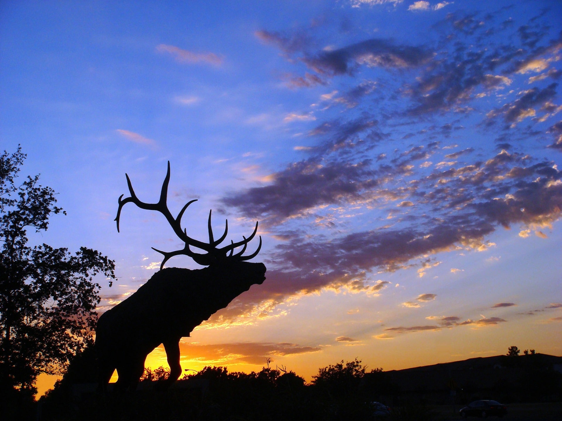 elk hunting wallpaper