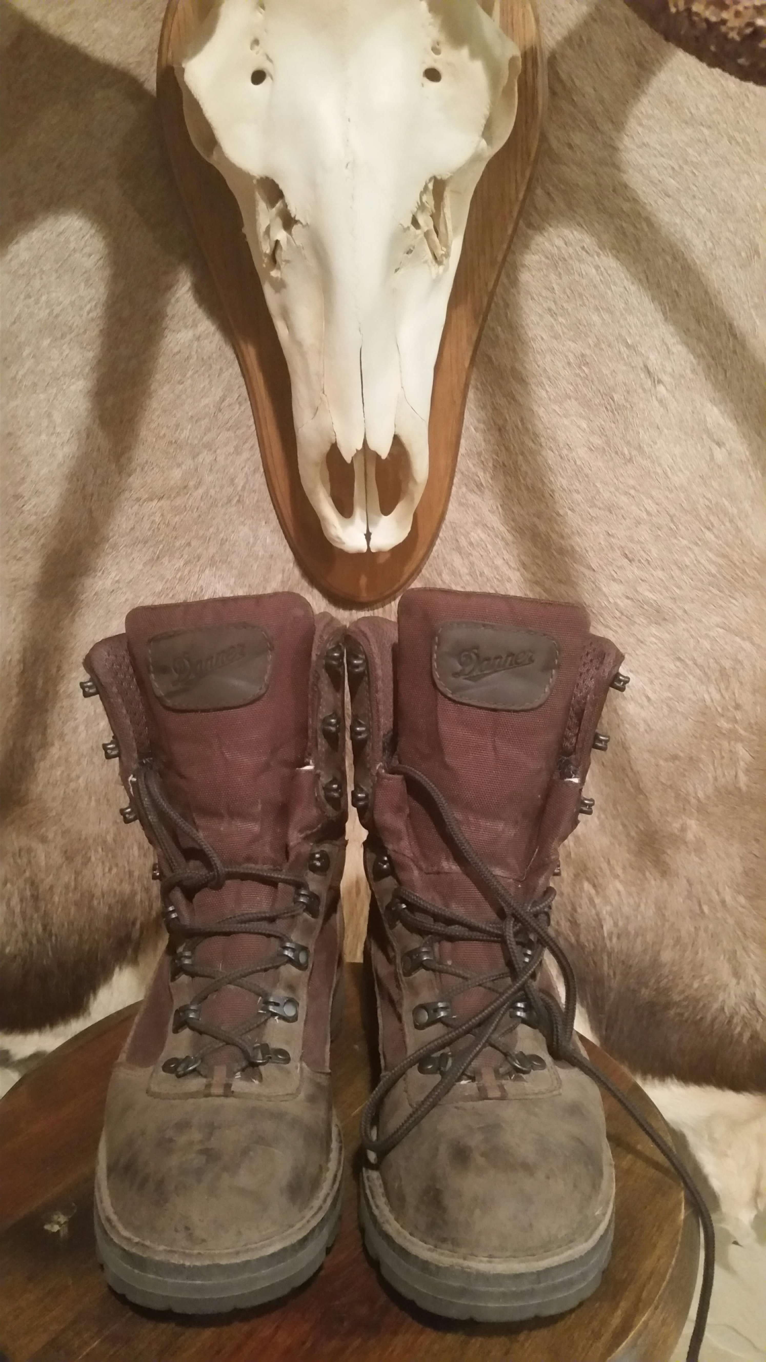 Best mountain shop hunting boot