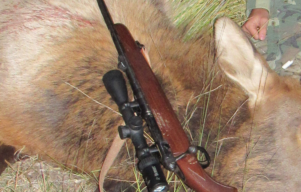 Best Elk Hunting Rifle for Youth