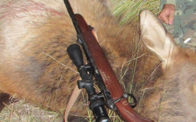 Best Elk Hunting Rifle for Youth